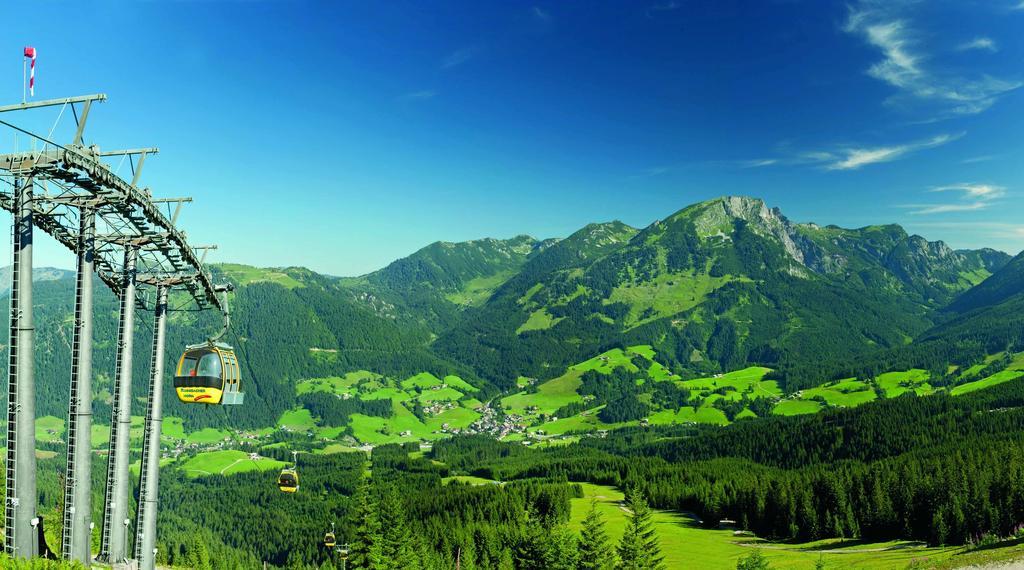 Pension Elisabeth Русбах-ам-Пас-Гшютт Экстерьер фото